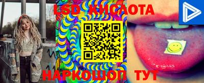гидропоника Можга