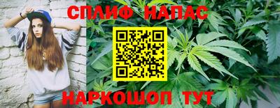 гидропоника Можга