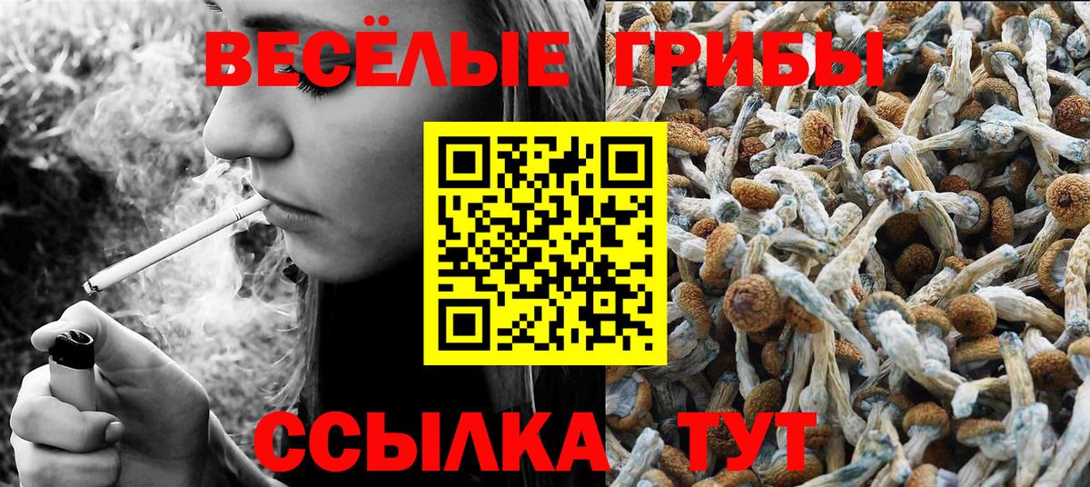 Галлюциногенные грибы GOLDEN TEACHER Феодосия